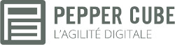 Agence Pepper Cube